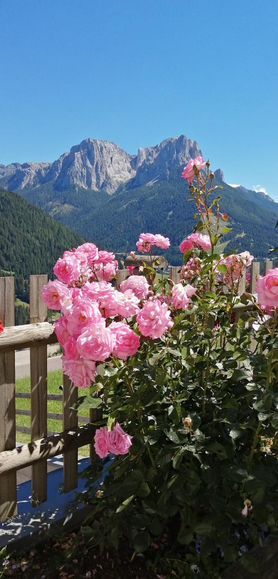 Villetta Muncion Pozza di Fassa Ngoại thất bức ảnh